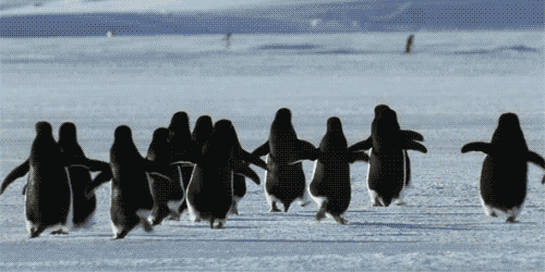 Run like a penguin